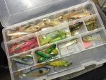 Bait Fishing lure Fishing bait