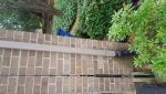 Wall Brickwork Brick Fence Plant