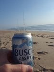 busch.jpg